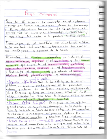 Pares-Craneales.pdf