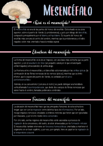 Mesencefalo-funcion.pdf