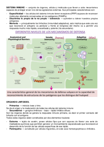 INMUNO-1ER-SEMINARIO.pdf