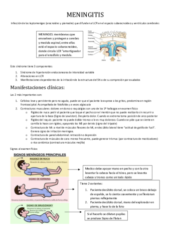 MENINGITIS.pdf