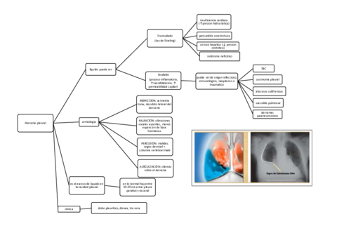 sindromes-respiratorios.pdf