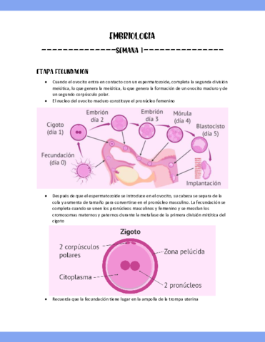 SEMANA-1-EMBRIOLOGIA-PARTE-5.pdf