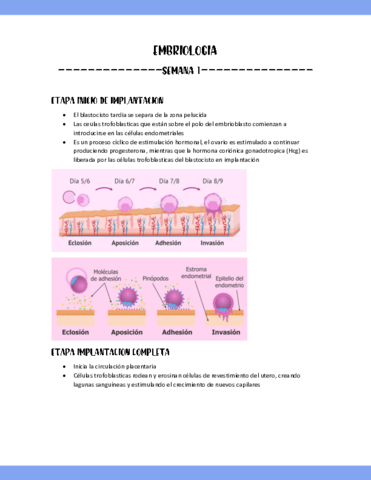 SEMANA-1-EMBRIOLOGIA.pdf