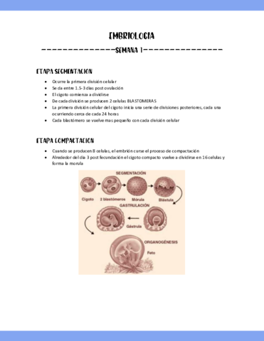 SEMANA-1-EMBRIOLOGIA-PARTE-4.pdf