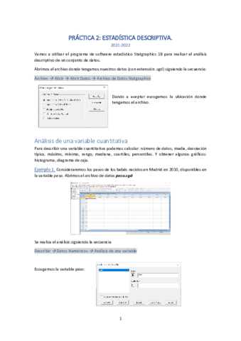Practica-2-Estadistica-Descriptiva.pdf