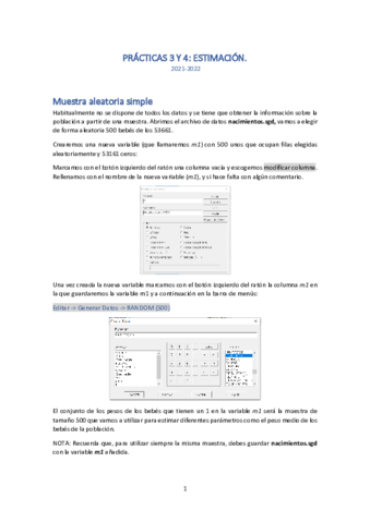 Practicas-3-y-4Estimacion.pdf