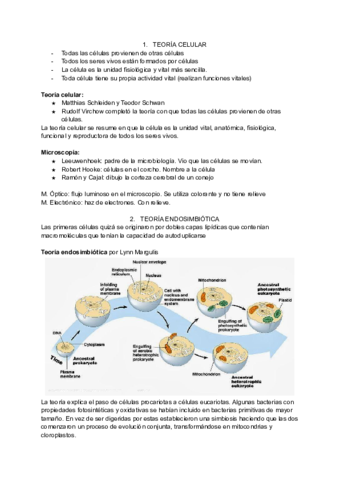 Copia-de-Documento-sin-titulo.pdf