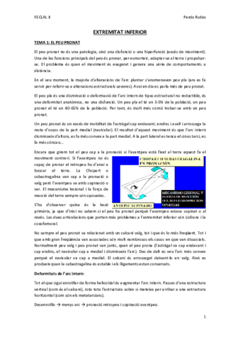 EEII-Pedrito-FINAL.pdf