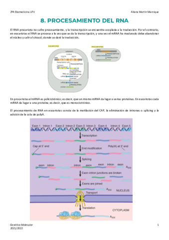 Tema-8-Procesamiento-del-RNA.pdf