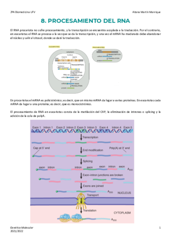 Tema-8-Procesamiento-del-RNA.pdf