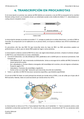 Tema-4-Transcripcion-Procariota.pdf