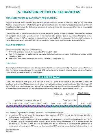 Tema-5-Transcripcion-Eucariota.pdf