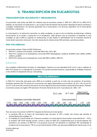 Tema-5-Transcripcion-Eucariota.pdf