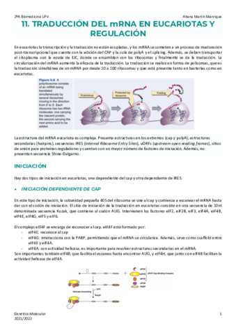 Tema-11-Traduccion-eucariota-y-regulacion.pdf