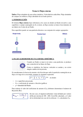 Tema-6-Flujo-externo.pdf