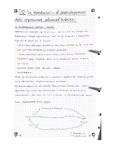 Reproduccio-i-el-desenvolupament-dels-organismes-pluricellulars.pdf