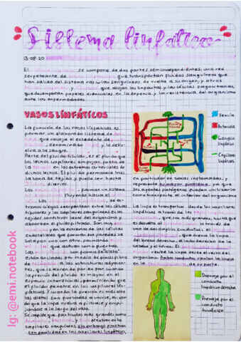 Linfatico-e-Inmune.pdf