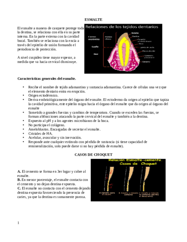 TeoricoEsmalte.pdf