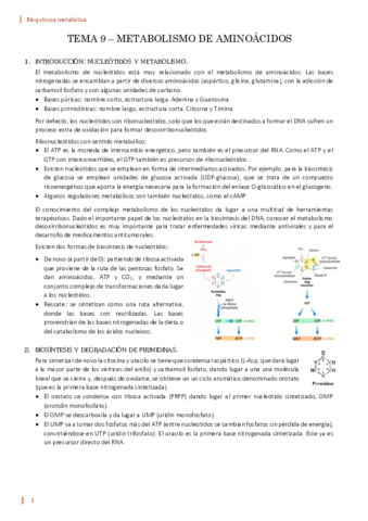 TEMA-9-BQ.pdf