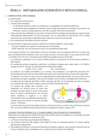 TEMA-6-BQ.pdf