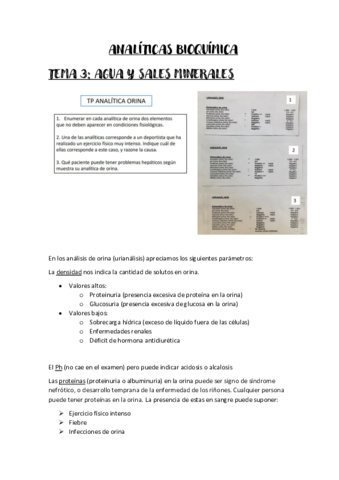 Analiticas-prueba-apuntes.pdf