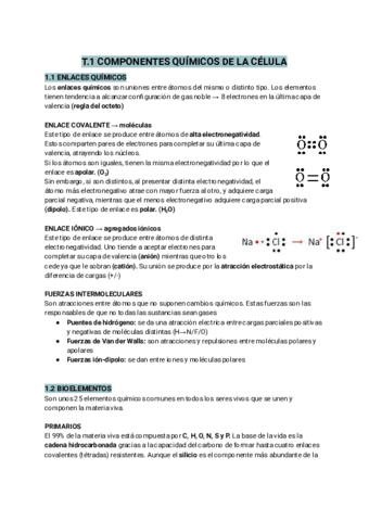 T.1 COMPONENTES QUÍMICOS DE LA CÉLULA