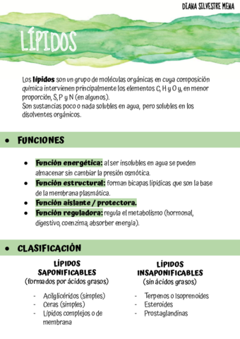 LIPIDOS.pdf