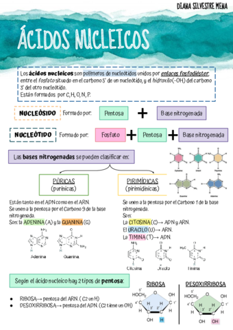 Acidos-Nucleicos.pdf