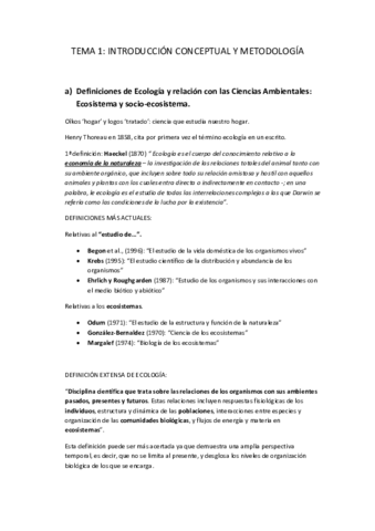 APUNTES-INTRODUCCION-Y-METODOLOGIA.pdf