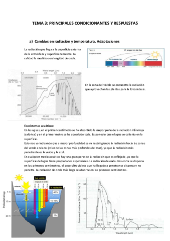 APUNTES-CONDICIONANTES-Y-RESPUESTAS.pdf