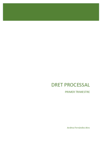 DRET-PROCESSAL-FINAL.pdf