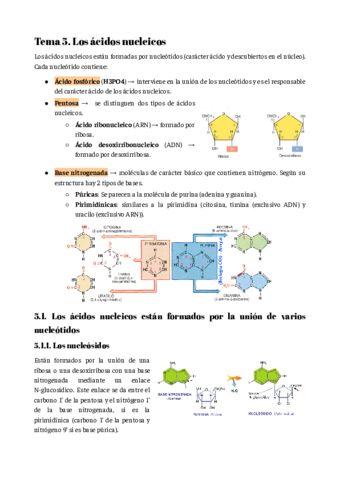 Tema-5.pdf