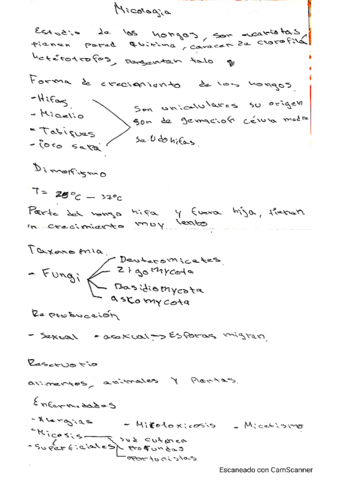 Fisiopatologia22.pdf