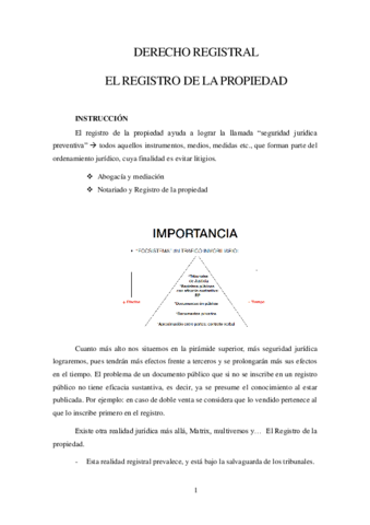 TEMARIO-REGISTRAL.pdf