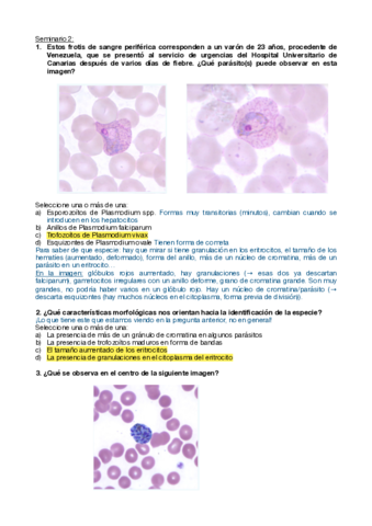 Seminarios-Parasitologia-2.pdf
