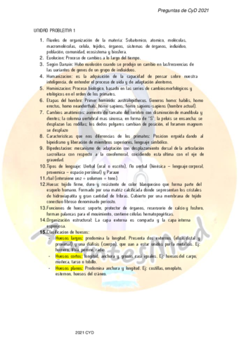 Preguntas-CyD-2021.pdf