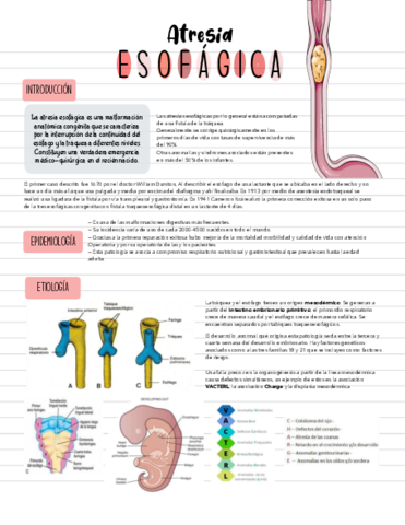 ATRESIA-ESOFAGICA.pdf