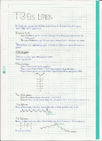 T3-Apunts-Lipids.pdf