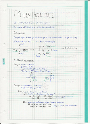 T4-Apunts-Proteines.pdf