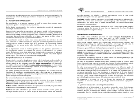 BLOQUE5.pdf