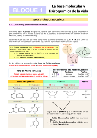 Tema-5-Acidos-nucleicos.pdf