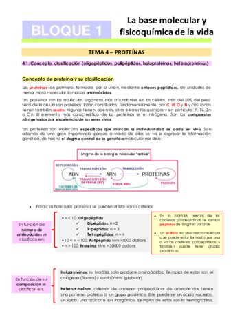 Tema-4-Proteinas.pdf