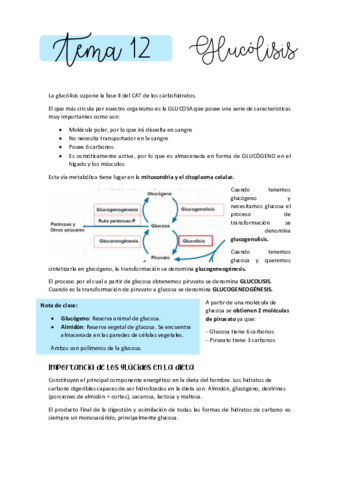 BIOQUIMICA-T12.pdf