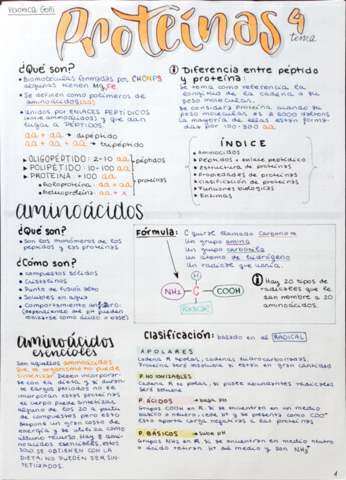 TEMA-4-PROTEINAS-2BACH.pdf