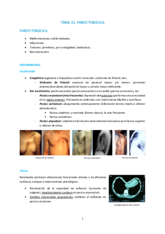 T23-Pared-toracica-y-diafragma.pdf
