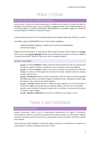 tema-5-DEE (+ T3 penal).pdf