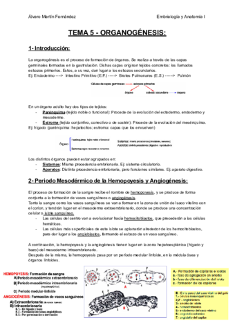 TEMA-5-ORGANOGENESIS.pdf