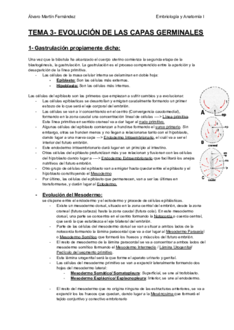 TEMA-3-EVOLUCION-DE-LAS-CAPAS-GERMINALES.pdf