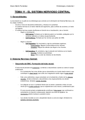 TEMA-11-EL-SISTEMA-NERVIOSO-CENTRAL.pdf