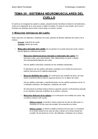 TEMA-20-SISTEMAS-NEUROMUSCULARES-DEL-CUELLO.pdf